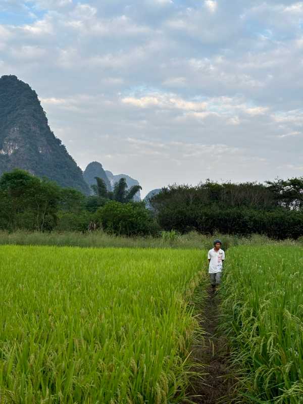 Yangshuo - 2024 - Elia's Diary