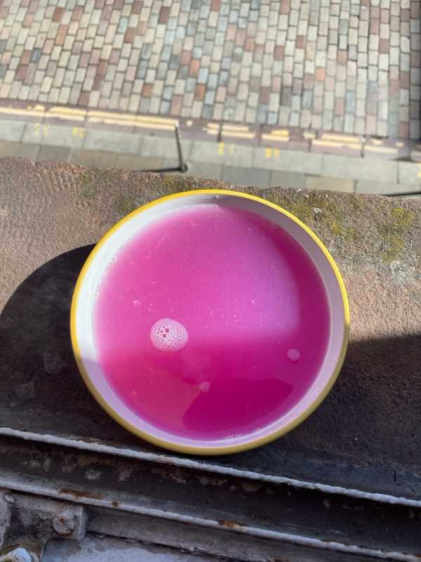 Glasgow - 2024 - Elia's Diary