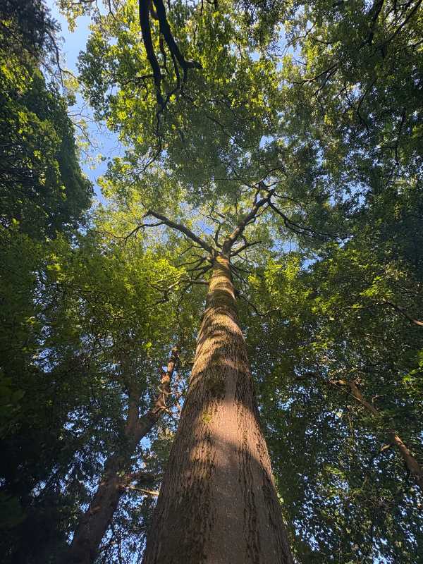 Glasgow - 2025 - Elia's Diary