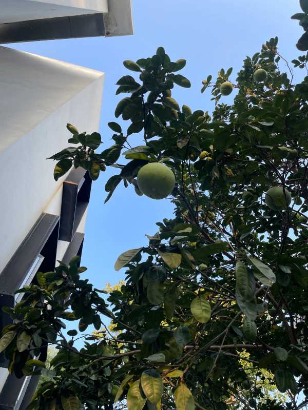 Changsha - 2024 - Elia's Diary