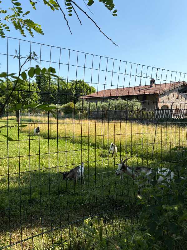 Italy - 2025 - Elia's Diary