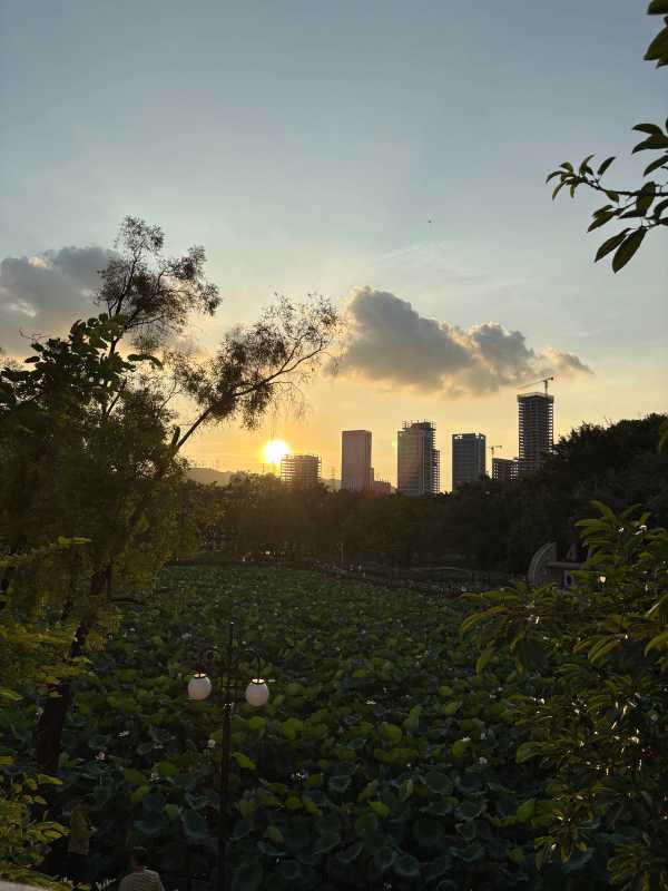 Shenzhen - 2025 - Elia's Diary