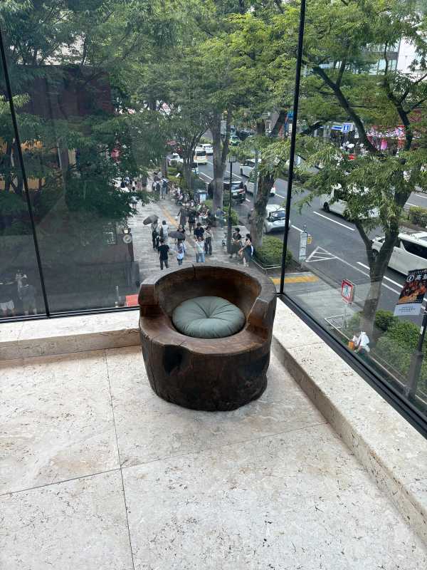 Tokyo - 2025 - Elia's Diary