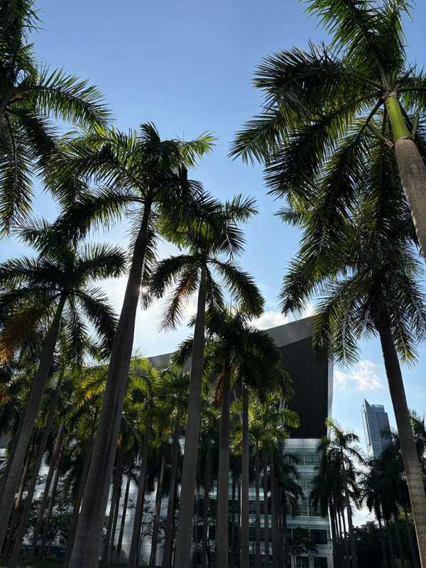 Shenzhen - 2025 - Elia's Diary