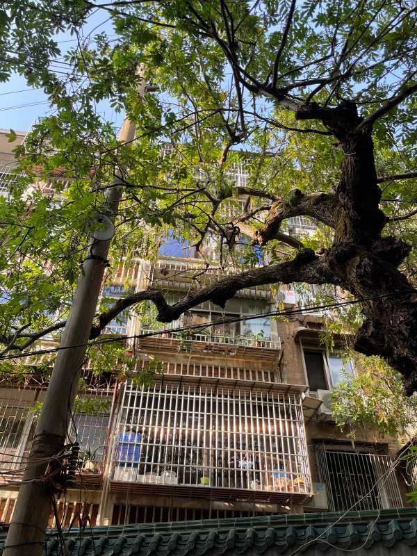 Changsha - 2024 - Elia's Diary