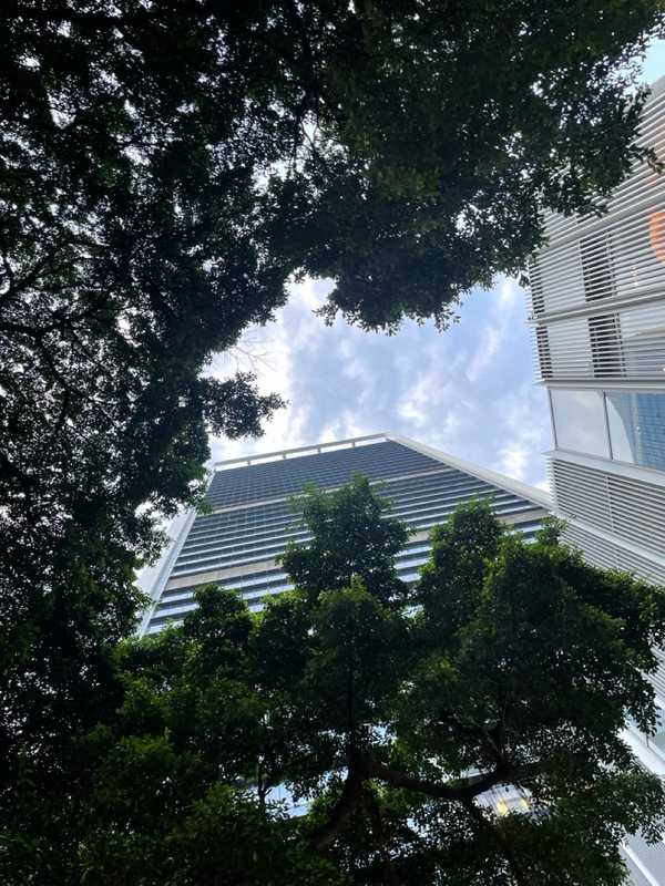 Shenzhen - 2024 - Elia's Diary