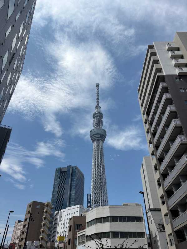 Tokyo - 2025 - Elia's Diary