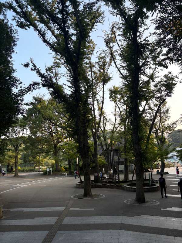 Tokyo - 2025 - Elia's Diary