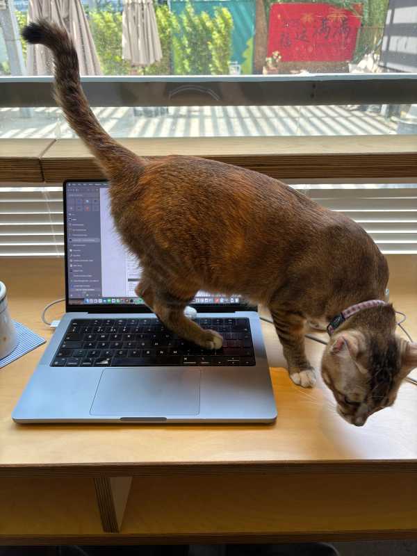 Shenzhen - 2025 - Elia's Diary