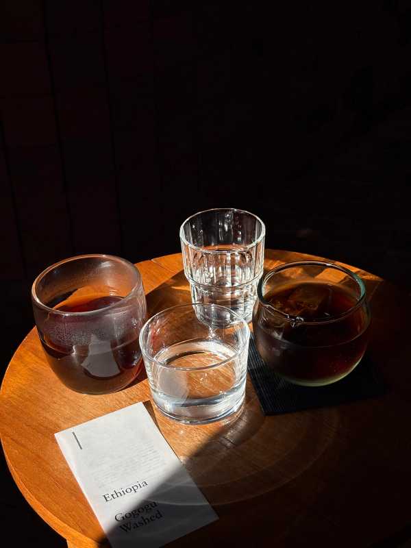 Tokyo - 2025 - Elia's Diary