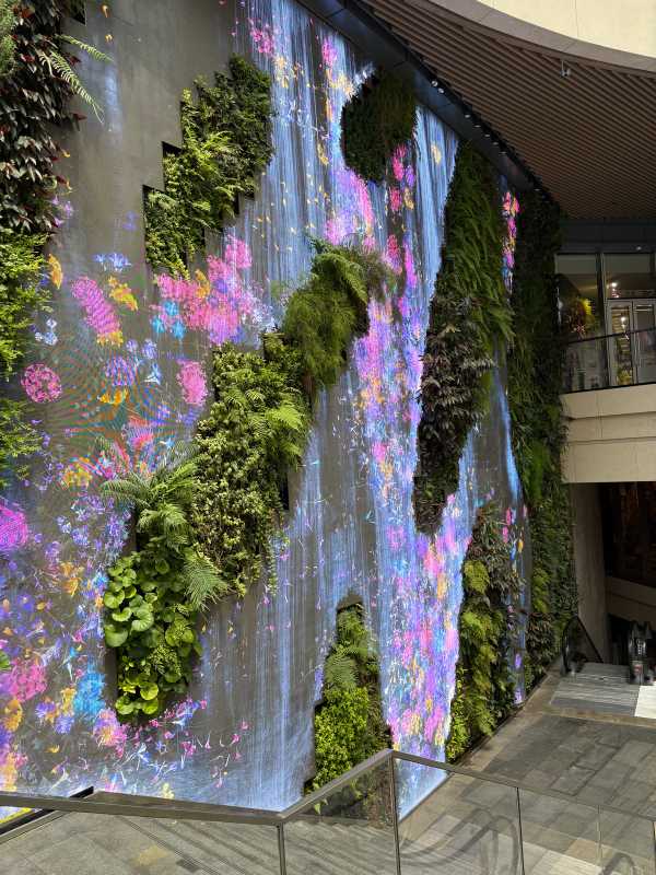 Shenzhen - 2025 - Elia's Diary