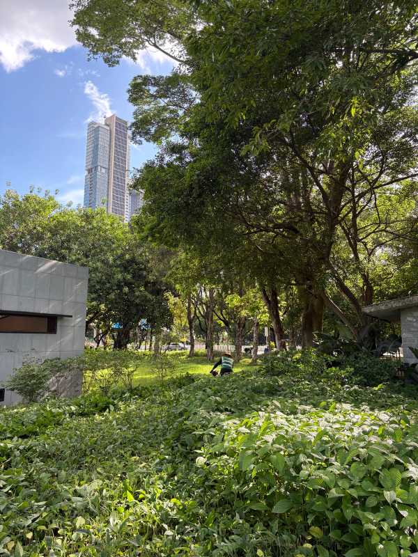 Shenzhen - 2025 - Elia's Diary