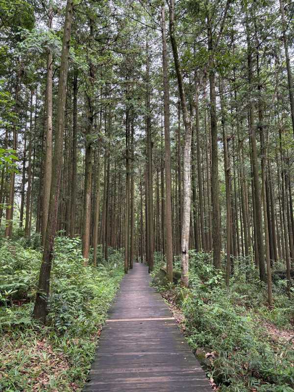 Hezhou - 2025 - Elia's Diary