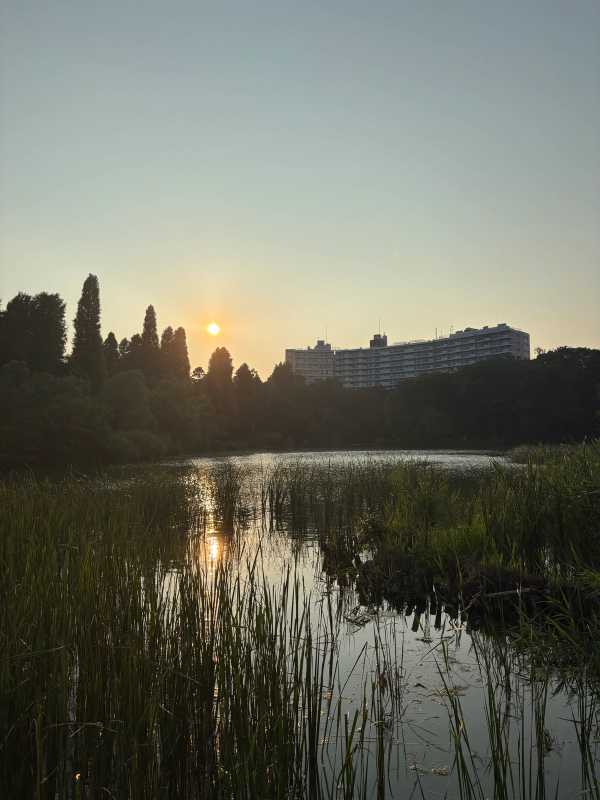 Tokyo - 2025 - Elia's Diary