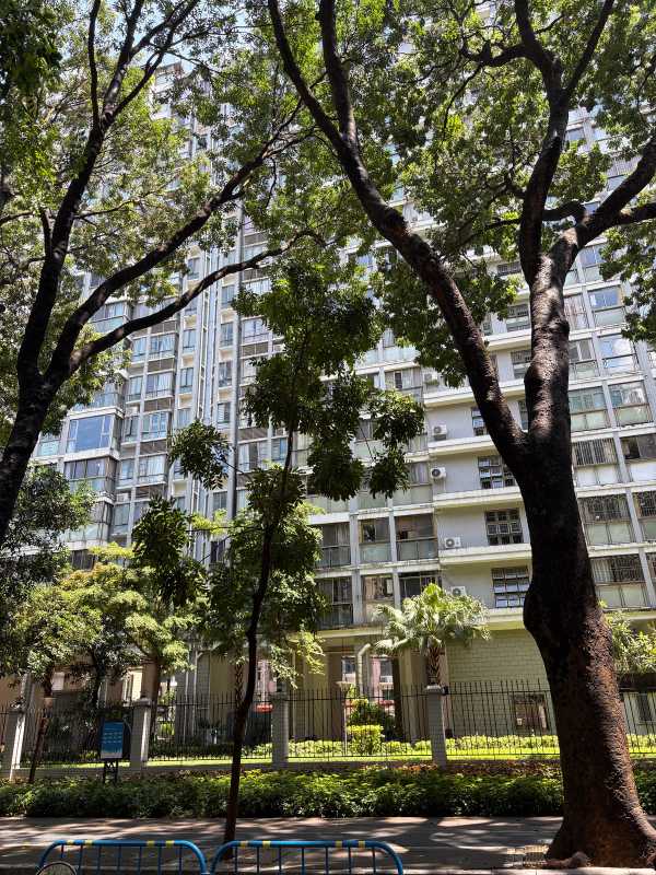 Shenzhen - 2025 - Elia's Diary