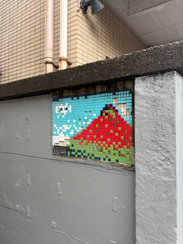 Tokyo - 2025 - Elia's Diary