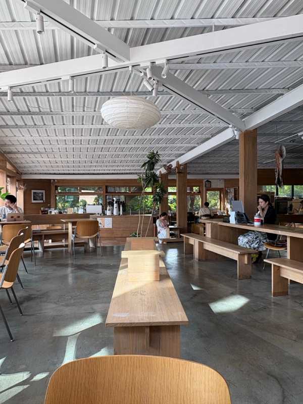 Shenzhen - 2025 - Elia's Diary