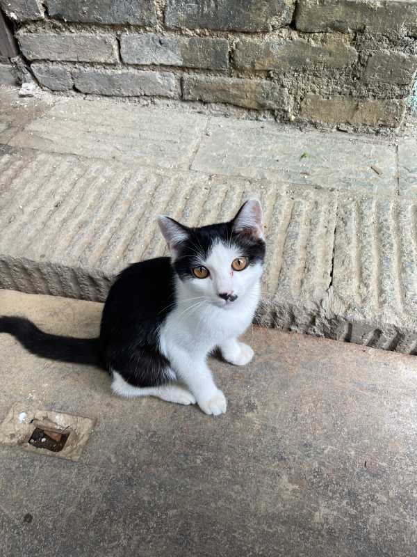 Changsha - 2024 - Elia's Diary