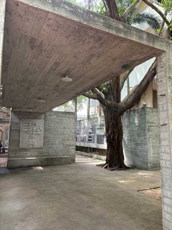 Shenzhen - 2025 - Elia's Diary