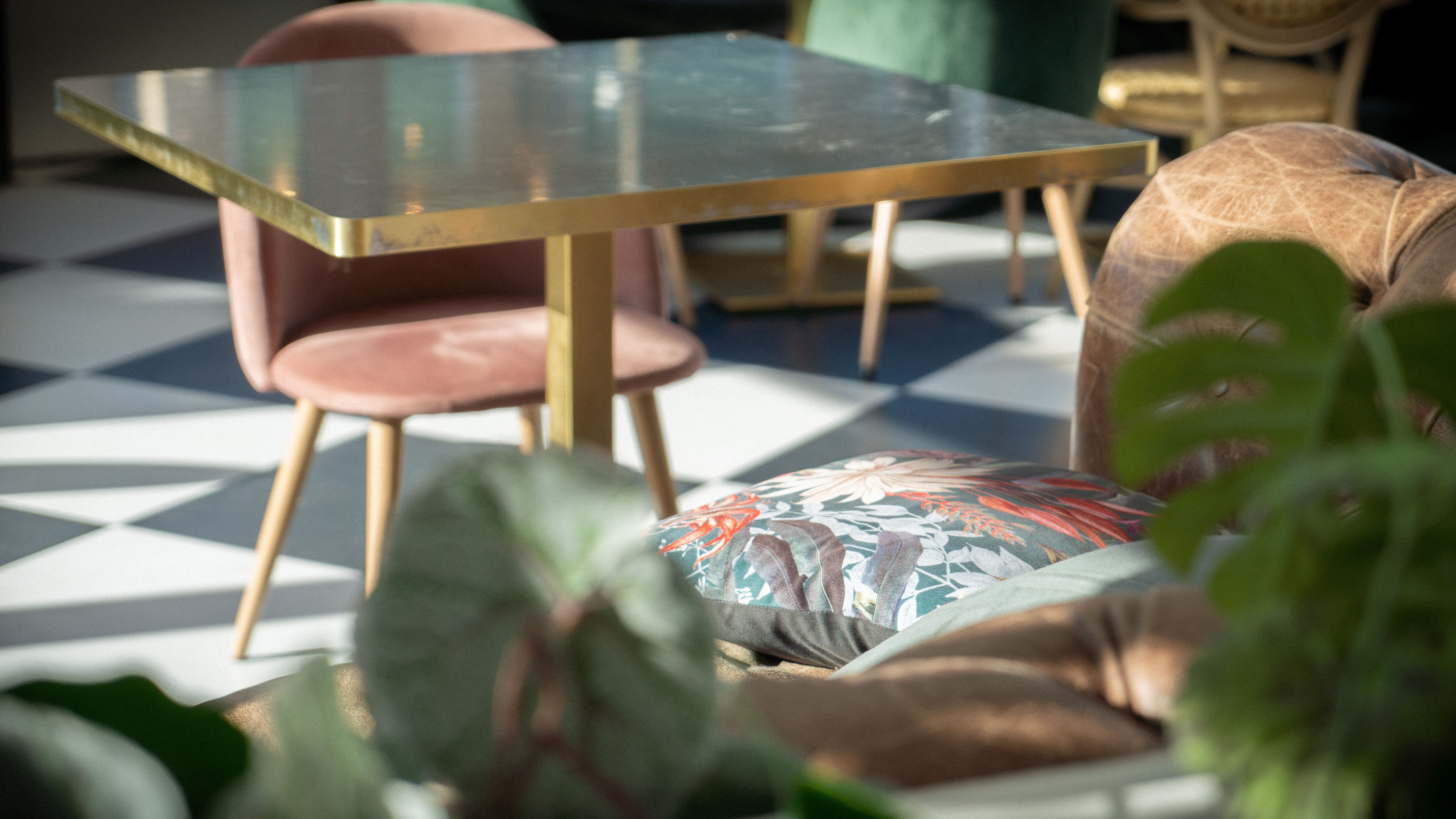 Table et chaise vues de derrière une plante