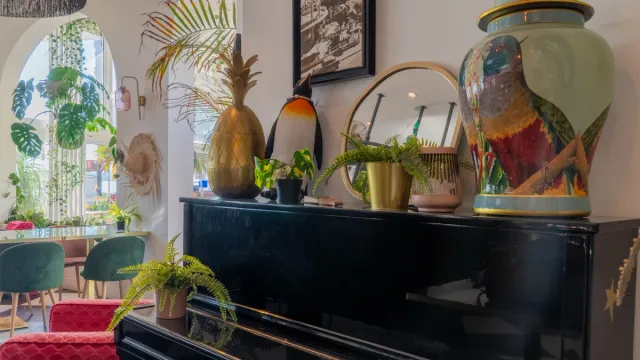 Piano avec des décorations : plantes, bocaux...