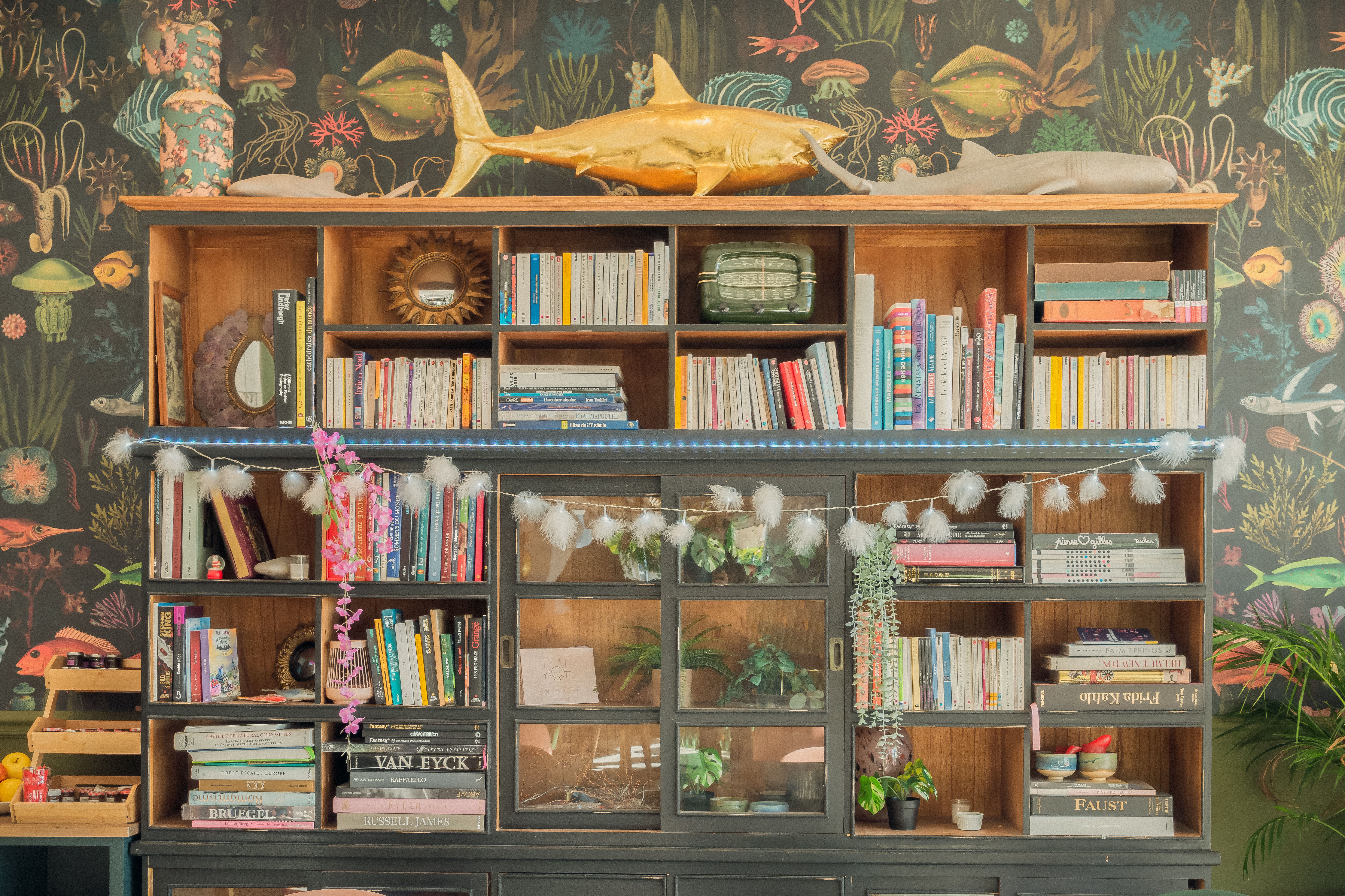 Bibliothèque vu de face