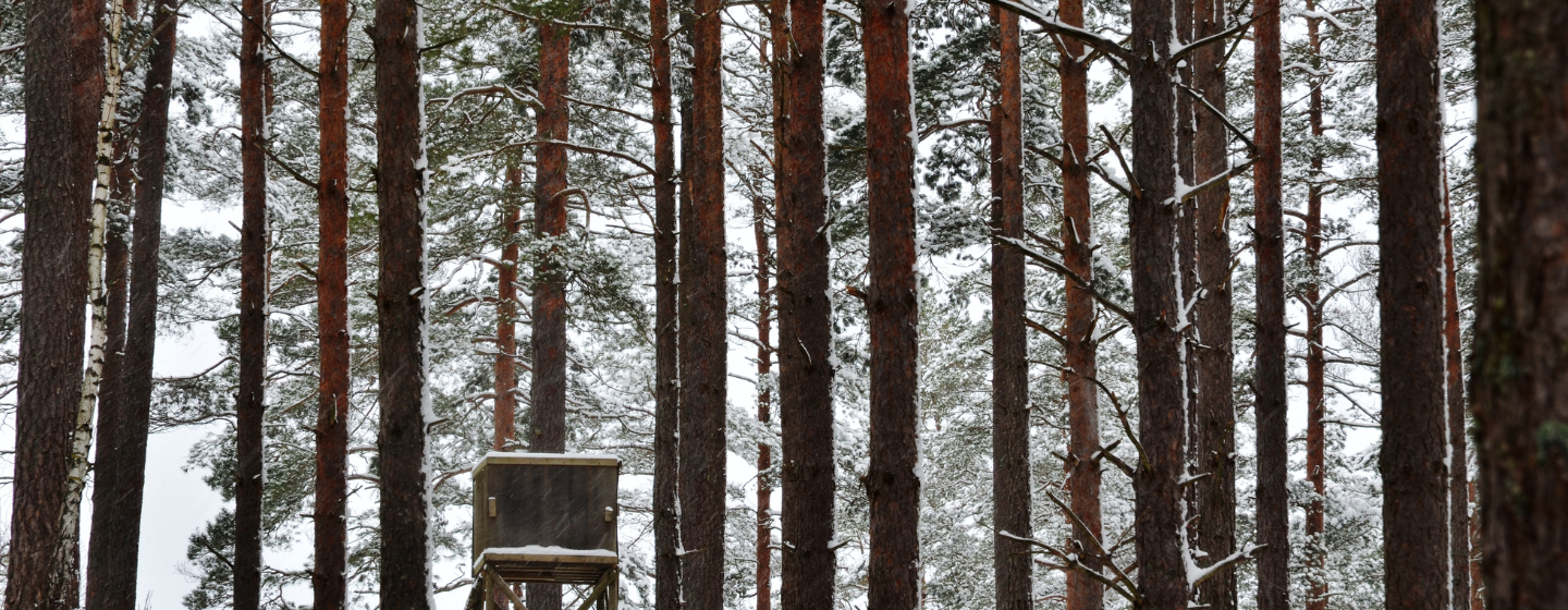 Jagtjakker til vinter - finder din vinterjagtjakke