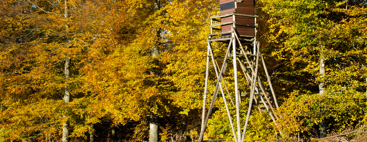 Jagtjakker til efterår
