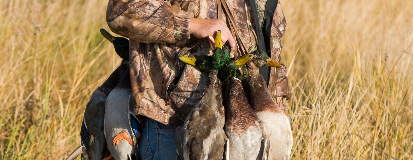 Jagtjakker til fuglejagt, se vores anbefalinger her