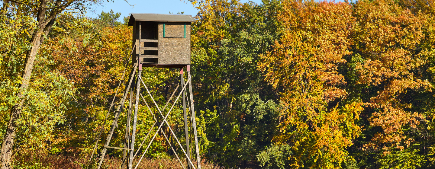 Jagtjakker til jagt fra tårn