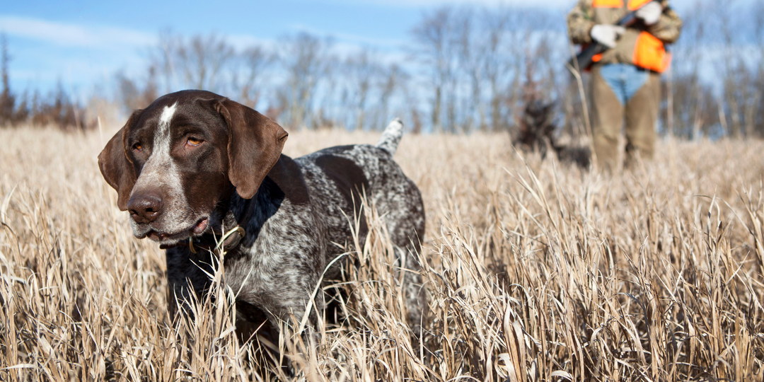 Jagtjakker til trykjagt, sikkerhed frem for alt