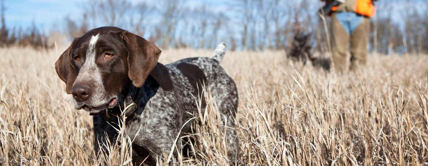 Jagtjakker til trykjagt, sikkerhed frem for alt