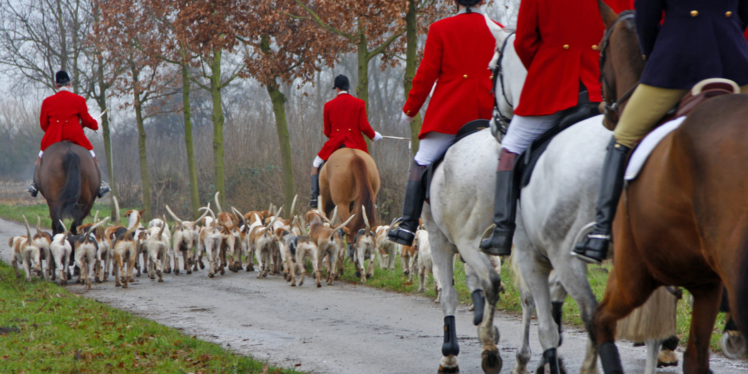 Drivjagt, finde jagtjakker til drivjagt