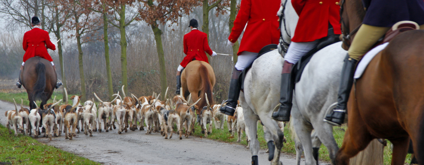 Drivjagt, finde jagtjakker til drivjagt