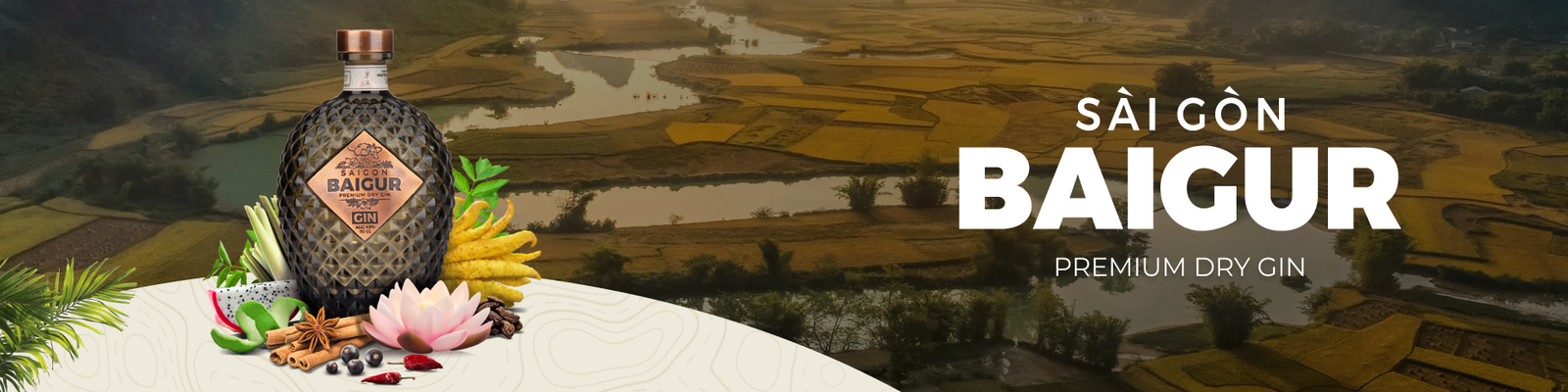 Saigon Baigur website by Saigon Digital