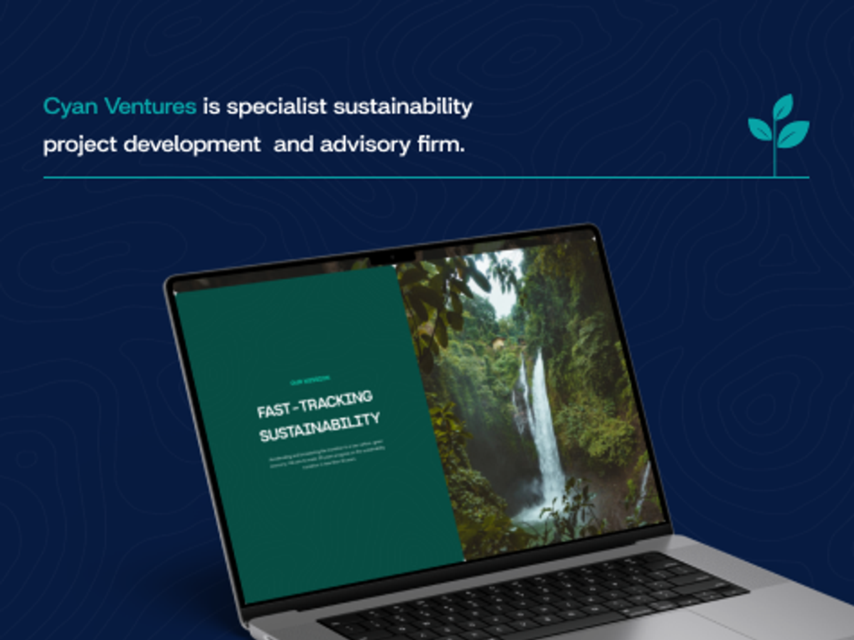 Cyan Ventures, project detail