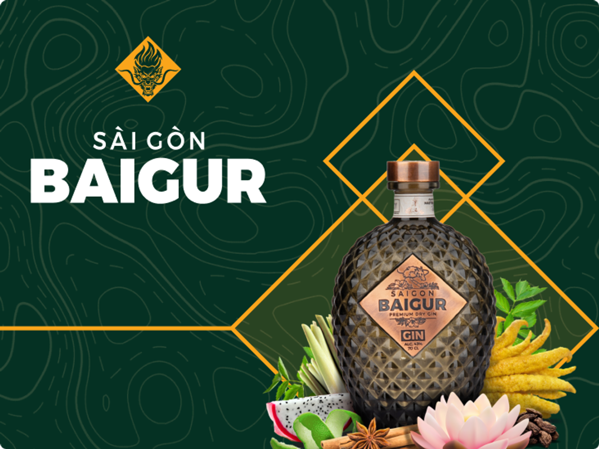 Saigon Baigur, project detail