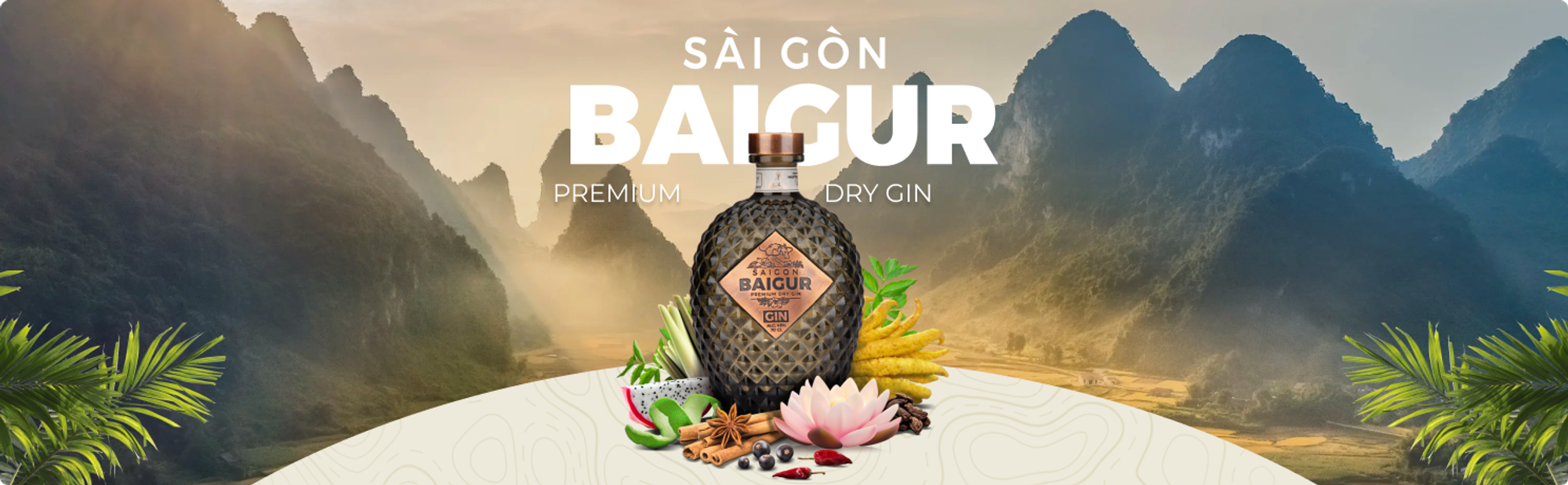 Saigon Baigur, website by Saigon Digital