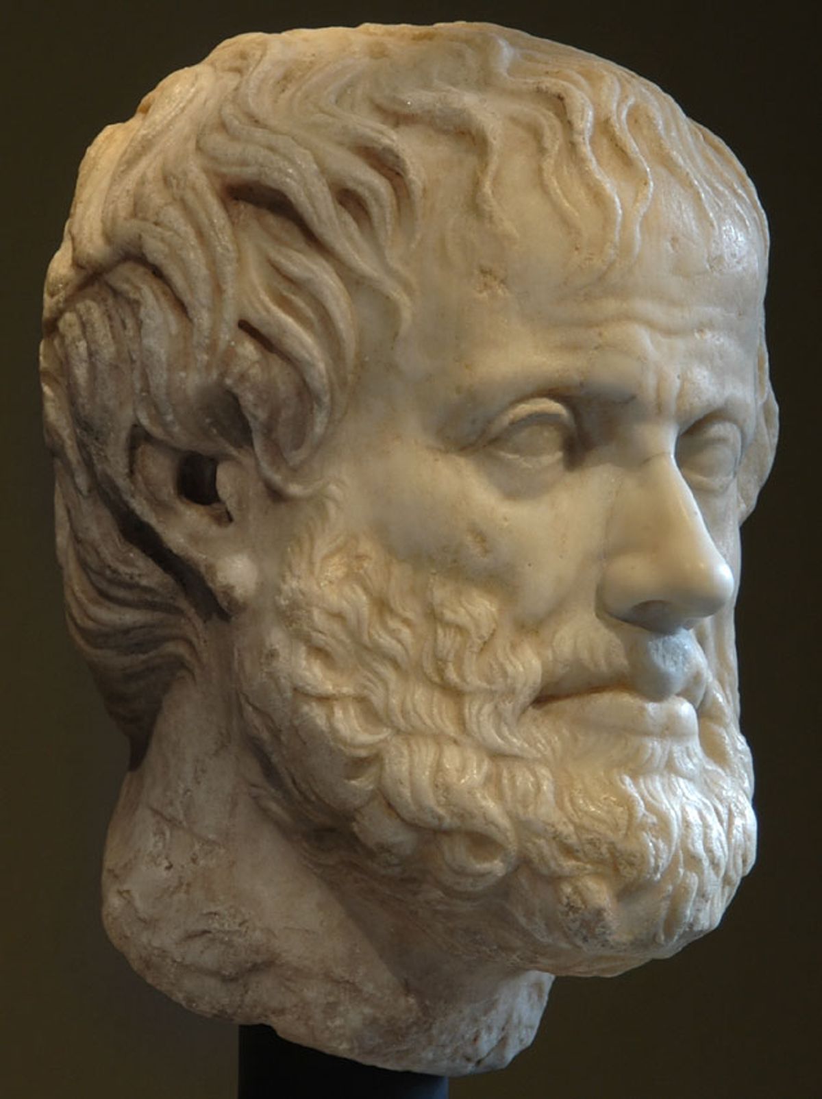 Image for article: Keep Calm and Trust Aristotle