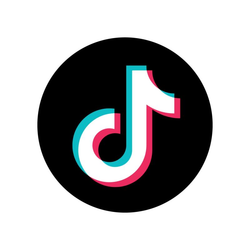 Image for article: The Case for Banning TikTok