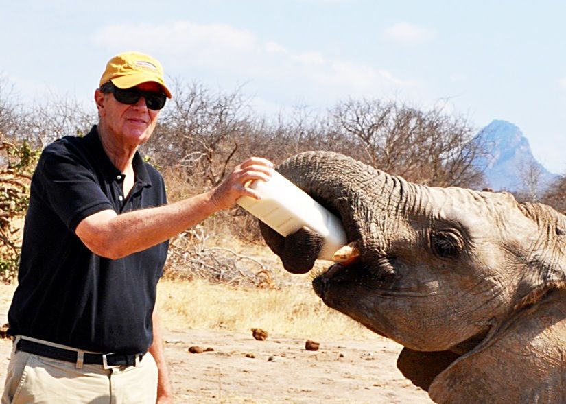 David Bonderman, Wildcat Foundation founder, works in the field with a young elephant.