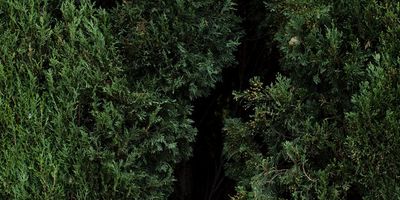 Why Marketplace UI Optimization Is the Hidden Growth Lever for SaaS