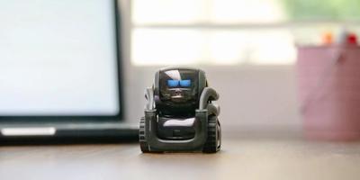 Artificial Intelligence’s New Learning Curve: Rethinking AI Education in a World It’s Shaping