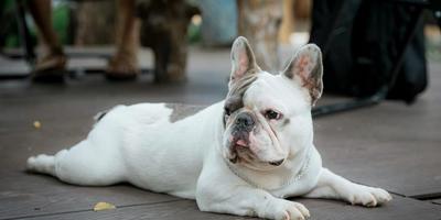 When Friction Breeds Loyalty: How SaaS Marketplaces Are Rethinking Seamless Integration