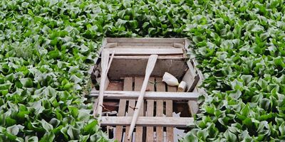 Winning in the SaaS Marketplace: Why Platform Ecosystems Are Now Essential for Growth