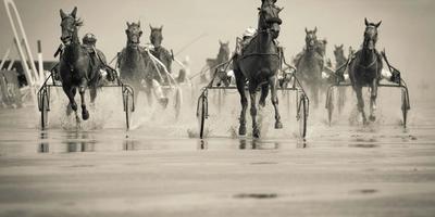 The Race to Harness Generative AI: Opportunities, Challenges, and Hard Lessons from the Front Lines