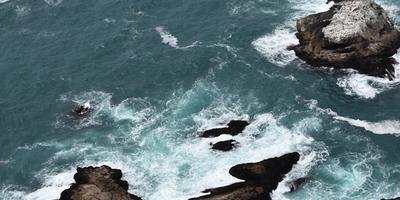 How Microservices Are Powering the Evolution of SaaS Marketplaces