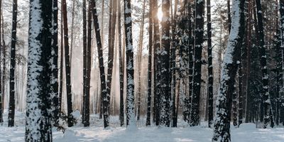 Generative AI: The Year the Machines Started Telling Our Stories