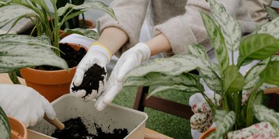Mastering SaaS Marketplaces: Strategies for Sustainable Growth