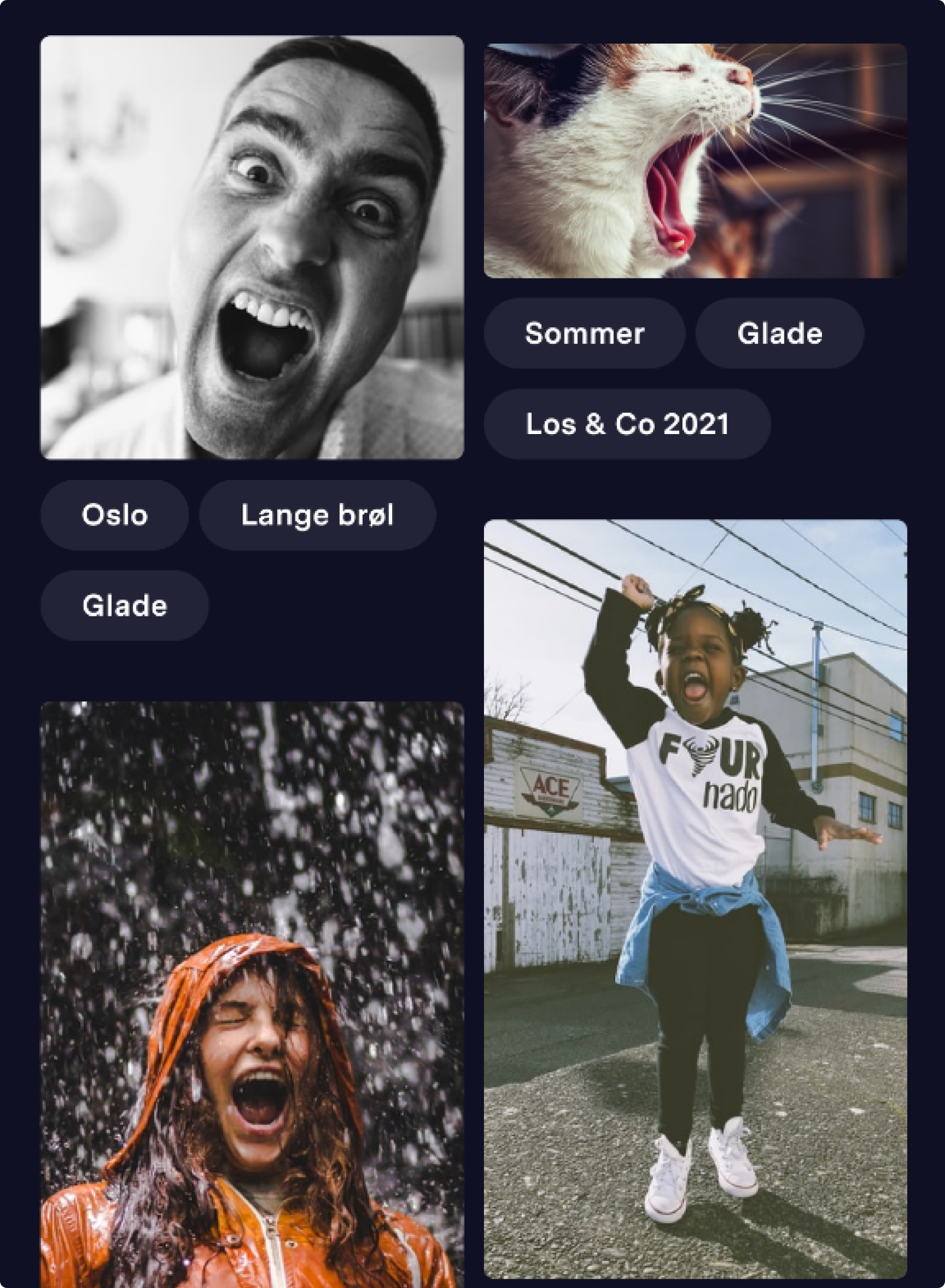 Klimabrøl opplastninger. Skjermbilde.